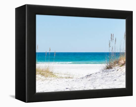 View through the Dunes to the Blue Ocean of Pensacola Beach-Sonja Filitz-Framed Premier Image Canvas