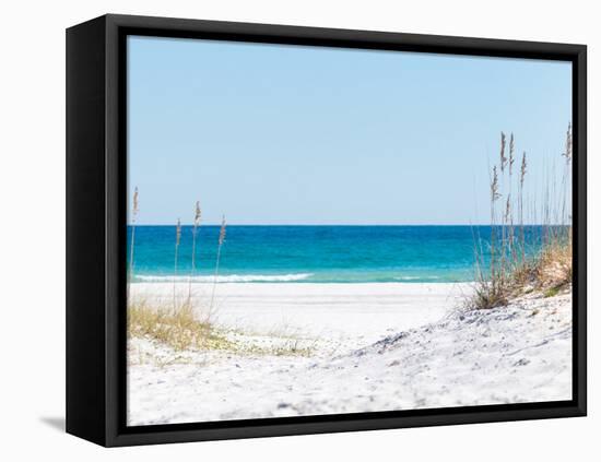 View through the Dunes to the Blue Ocean of Pensacola Beach-Sonja Filitz-Framed Premier Image Canvas