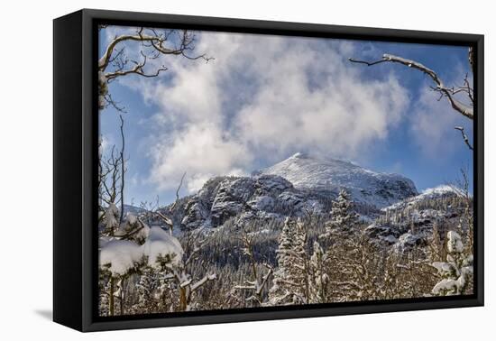 View to a mountain top in the Rocky Mountains in Colorado-Michael Scheufler-Framed Premier Image Canvas