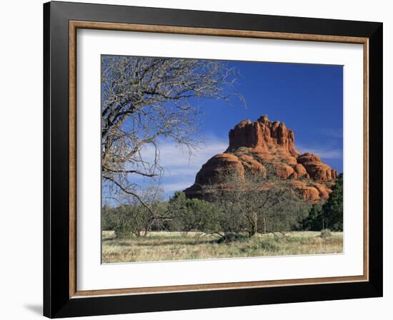 View to Bell Rock, Arizona, USA-Ruth Tomlinson-Framed Photographic Print