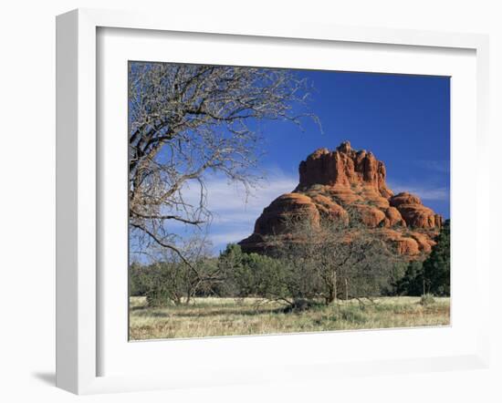 View to Bell Rock, Arizona, USA-Ruth Tomlinson-Framed Photographic Print