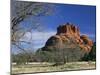 View to Bell Rock, Arizona, USA-Ruth Tomlinson-Mounted Photographic Print
