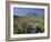 View to Puigmayor, the Highest Peak on the Island, Majorca (Mallorca), Balearic Islands, Spain-Ruth Tomlinson-Framed Photographic Print