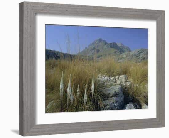 View to Puigmayor, the Highest Peak on the Island, Majorca (Mallorca), Balearic Islands, Spain-Ruth Tomlinson-Framed Photographic Print