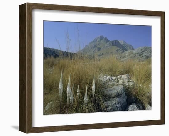 View to Puigmayor, the Highest Peak on the Island, Majorca (Mallorca), Balearic Islands, Spain-Ruth Tomlinson-Framed Photographic Print