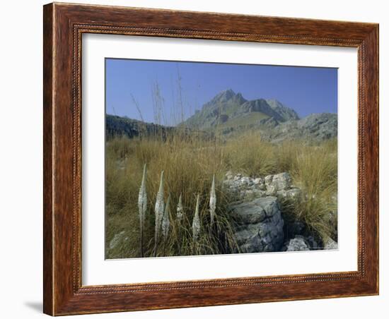 View to Puigmayor, the Highest Peak on the Island, Majorca (Mallorca), Balearic Islands, Spain-Ruth Tomlinson-Framed Photographic Print