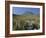 View to Puigmayor, the Highest Peak on the Island, Majorca (Mallorca), Balearic Islands, Spain-Ruth Tomlinson-Framed Photographic Print