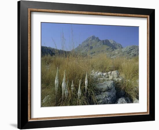 View to Puigmayor, the Highest Peak on the Island, Majorca (Mallorca), Balearic Islands, Spain-Ruth Tomlinson-Framed Photographic Print