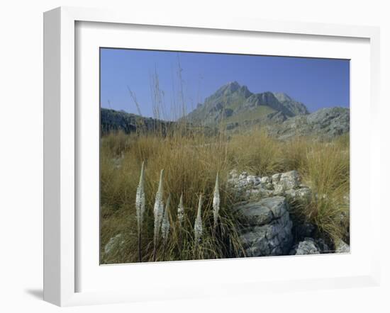 View to Puigmayor, the Highest Peak on the Island, Majorca (Mallorca), Balearic Islands, Spain-Ruth Tomlinson-Framed Photographic Print