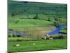 View to River at Reeth, Swaledale, Yorkshire Dales National Park, Yorkshire, England, UK, Europe-Jean Brooks-Mounted Photographic Print