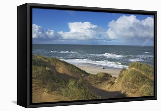 View to the North Sea from the Dunes at the 'Rotes Kliff' Near Kampen on the Island of Sylt-Uwe Steffens-Framed Premier Image Canvas