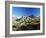 View to the Ober Gabelhorn, Sheep in Foreground, Zermatt, Valais, Switzerland-Ruth Tomlinson-Framed Photographic Print