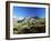 View to the Ober Gabelhorn, Sheep in Foreground, Zermatt, Valais, Switzerland-Ruth Tomlinson-Framed Photographic Print