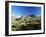 View to the Ober Gabelhorn, Sheep in Foreground, Zermatt, Valais, Switzerland-Ruth Tomlinson-Framed Photographic Print