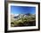 View to the Ober Gabelhorn, Sheep in Foreground, Zermatt, Valais, Switzerland-Ruth Tomlinson-Framed Photographic Print