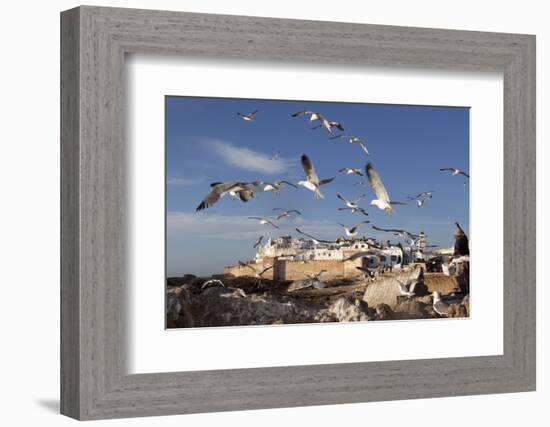 View to the Ramparts and Medina with Seagulls-Stuart Black-Framed Photographic Print