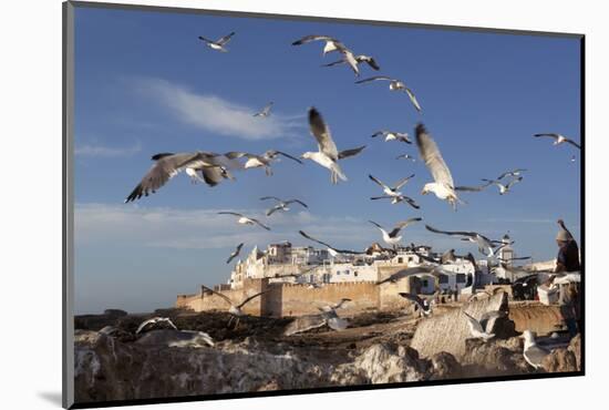 View to the Ramparts and Medina with Seagulls-Stuart Black-Mounted Photographic Print
