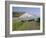 View to the Seven Sisters from Seaford Head, East Sussex, England, UK-Ruth Tomlinson-Framed Photographic Print