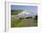 View to the Seven Sisters from Seaford Head, East Sussex, England, UK-Ruth Tomlinson-Framed Photographic Print