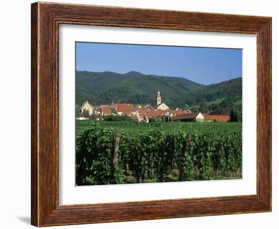 View to Village from Vineyards, Riquewihr, Haut-Rhin, Alsace, France-Ruth Tomlinson-Framed Photographic Print