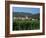 View to Village from Vineyards, Riquewihr, Haut-Rhin, Alsace, France-Ruth Tomlinson-Framed Photographic Print