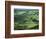 View Towards Lough Derg from Arra Mountains, County Clare, Munster, Republic of Ireland (Eire)-Adam Woolfitt-Framed Photographic Print