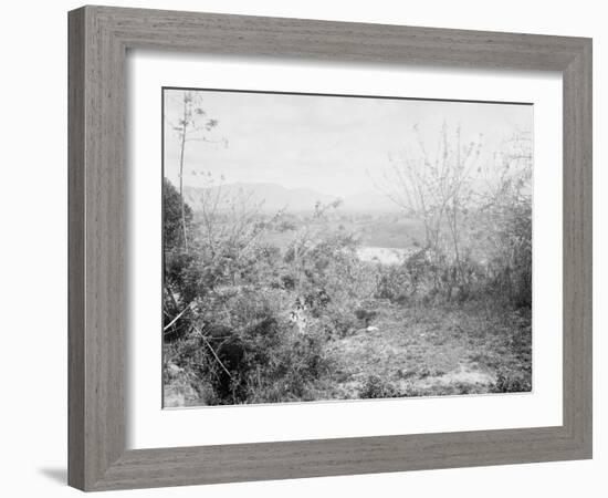 View Towards Position of American Forces from San Juan Hill, Santiago De Cuba, Cuba-null-Framed Photo