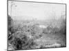 View Towards Position of American Forces from San Juan Hill, Santiago De Cuba, Cuba-null-Mounted Photo