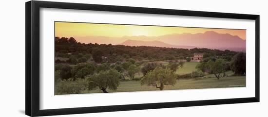 View Towards Sierra De Tramuntana Mountains, Near Muro, Majorca, Balearic Islands, Spain-John Miller-Framed Photographic Print