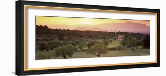 View Towards Sierra De Tramuntana Mountains, Near Muro, Majorca, Balearic Islands, Spain-John Miller-Framed Photographic Print