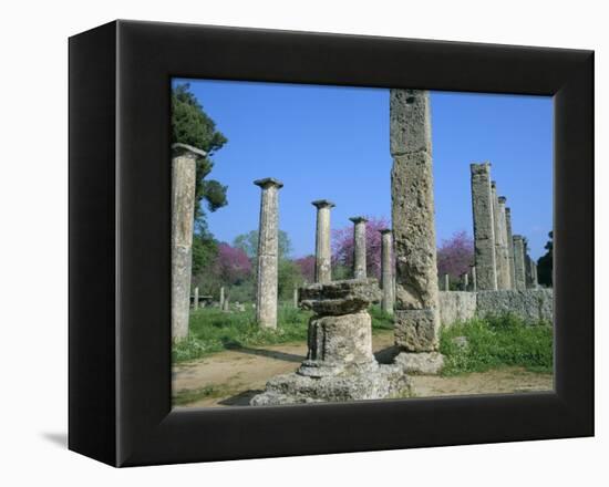 View Towards the Palaestra, Archaeological Site, Olympia, Unesco World Heritage Site, Greece-Tony Gervis-Framed Premier Image Canvas