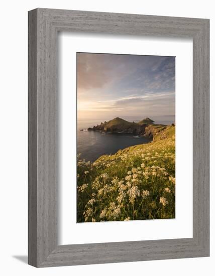View towards The Rumps at sunset, Polzeath, Cornwall, UK-Ross Hoddinott-Framed Photographic Print