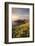 View towards The Rumps at sunset, Polzeath, Cornwall, UK-Ross Hoddinott-Framed Photographic Print