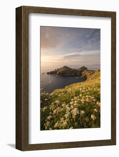 View towards The Rumps at sunset, Polzeath, Cornwall, UK-Ross Hoddinott-Framed Photographic Print