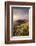 View towards The Rumps at sunset, Polzeath, Cornwall, UK-Ross Hoddinott-Framed Photographic Print