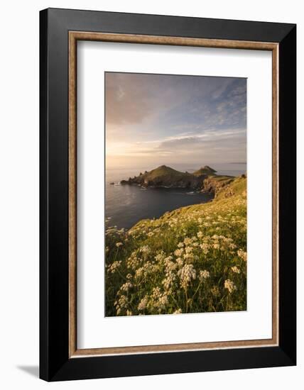 View towards The Rumps at sunset, Polzeath, Cornwall, UK-Ross Hoddinott-Framed Photographic Print