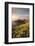 View towards The Rumps at sunset, Polzeath, Cornwall, UK-Ross Hoddinott-Framed Photographic Print