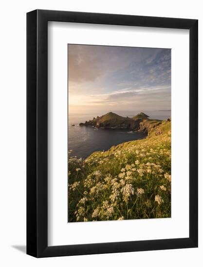 View towards The Rumps at sunset, Polzeath, Cornwall, UK-Ross Hoddinott-Framed Photographic Print