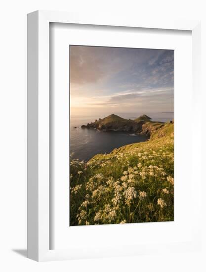 View towards The Rumps at sunset, Polzeath, Cornwall, UK-Ross Hoddinott-Framed Photographic Print