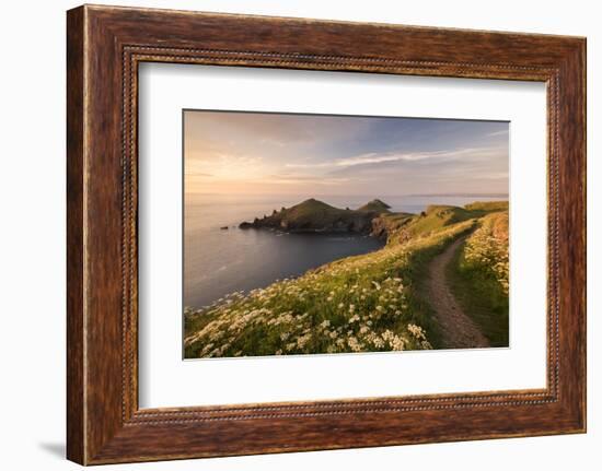 View towards The Rumps at sunset, Polzeath, Cornwall, UK-Ross Hoddinott-Framed Photographic Print