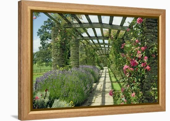 View Westwards Along the Pergola, Designed in C.1904-10-null-Framed Premier Image Canvas