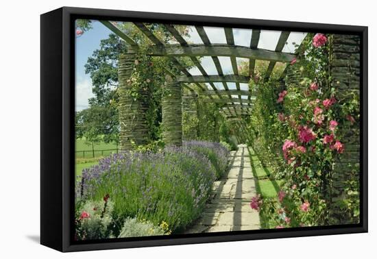 View Westwards Along the Pergola, Designed in C.1904-10-null-Framed Premier Image Canvas