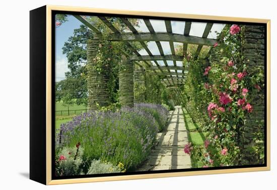 View Westwards Along the Pergola, Designed in C.1904-10-null-Framed Premier Image Canvas