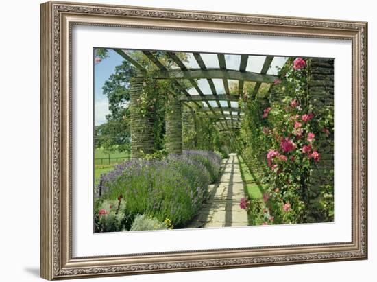 View Westwards Along the Pergola, Designed in C.1904-10-null-Framed Giclee Print