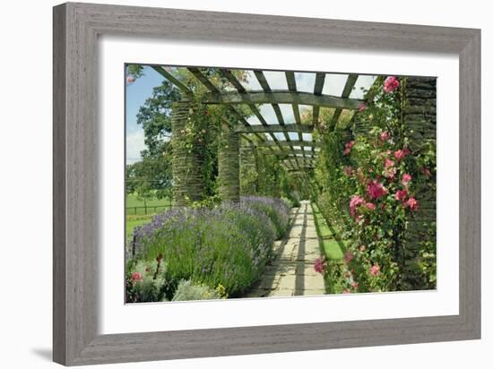 View Westwards Along the Pergola, Designed in C.1904-10-null-Framed Giclee Print