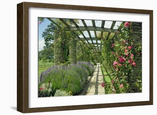 View Westwards Along the Pergola, Designed in C.1904-10-null-Framed Giclee Print