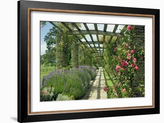 View Westwards Along the Pergola, Designed in C.1904-10-null-Framed Giclee Print