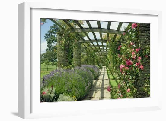 View Westwards Along the Pergola, Designed in C.1904-10-null-Framed Giclee Print