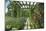 View Westwards Along the Pergola, Designed in C.1904-10-null-Mounted Giclee Print