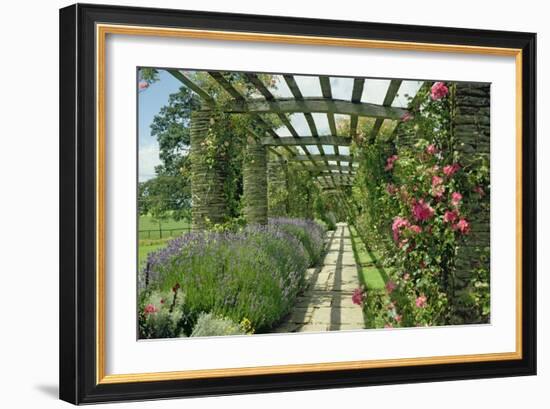 View Westwards Along the Pergola, Designed in C.1904-10-null-Framed Giclee Print